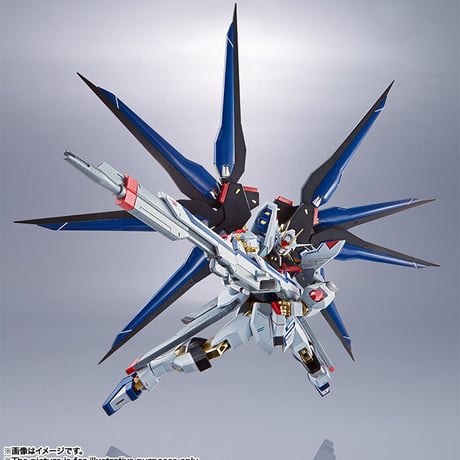 ガンダムSEED DESTINY 魂ネイション METAL ROBOT魂 ＜SIDE MS＞ ストライクフリーダムガンダム G31