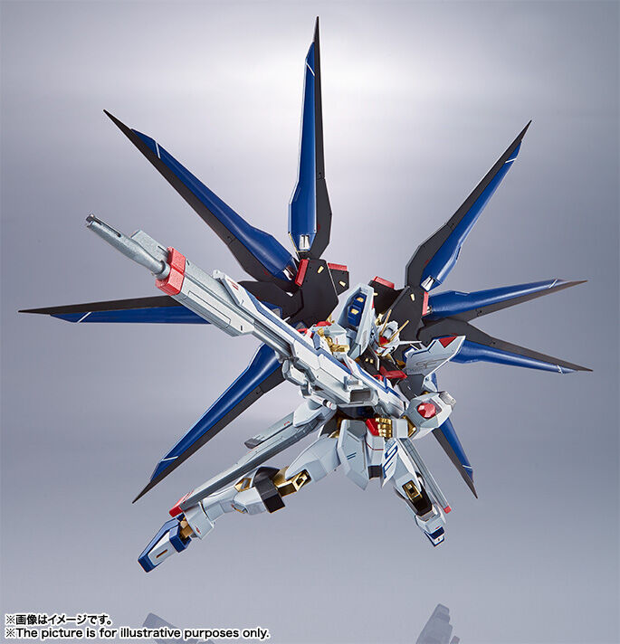ガンダムSEED DESTINY 魂ネイション METAL ROBOT魂 ＜SIDE MS＞