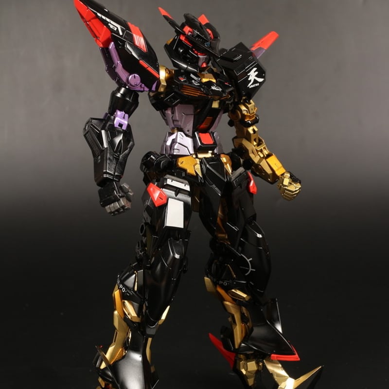 ガンダムSEED ASTRAY カスタムデザインガンプラ MG 1/100