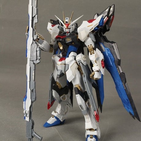 廃盤 ガンダムSEED DESTINY DABAN MG 1/100 ストライクフリーダムガンダム MB Ver. G31