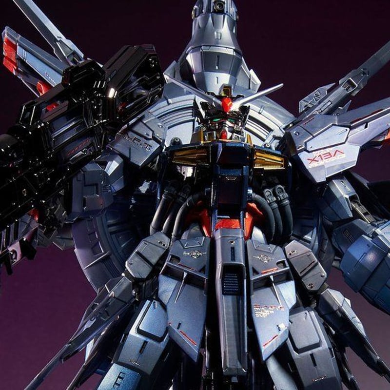 ガンダムSEED プレミアムバンダイ限定品 MG 1/100 ガンダムSEED プレミアムバンダイ限定品 MG 1/100