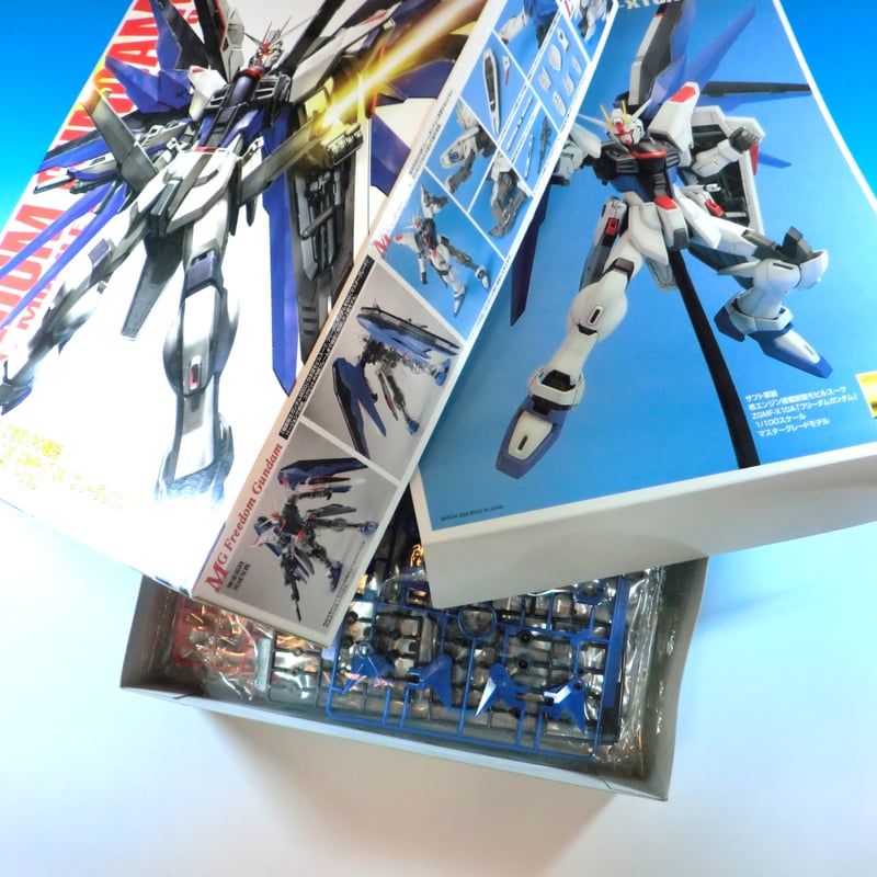 ガンダムSEED ガンプラEXPO 2006 BANDAI MG 1/100 フリーダム ガンダムSEED ガンプラEXPO 2006 BANDAI MG 1/100 フリーダム