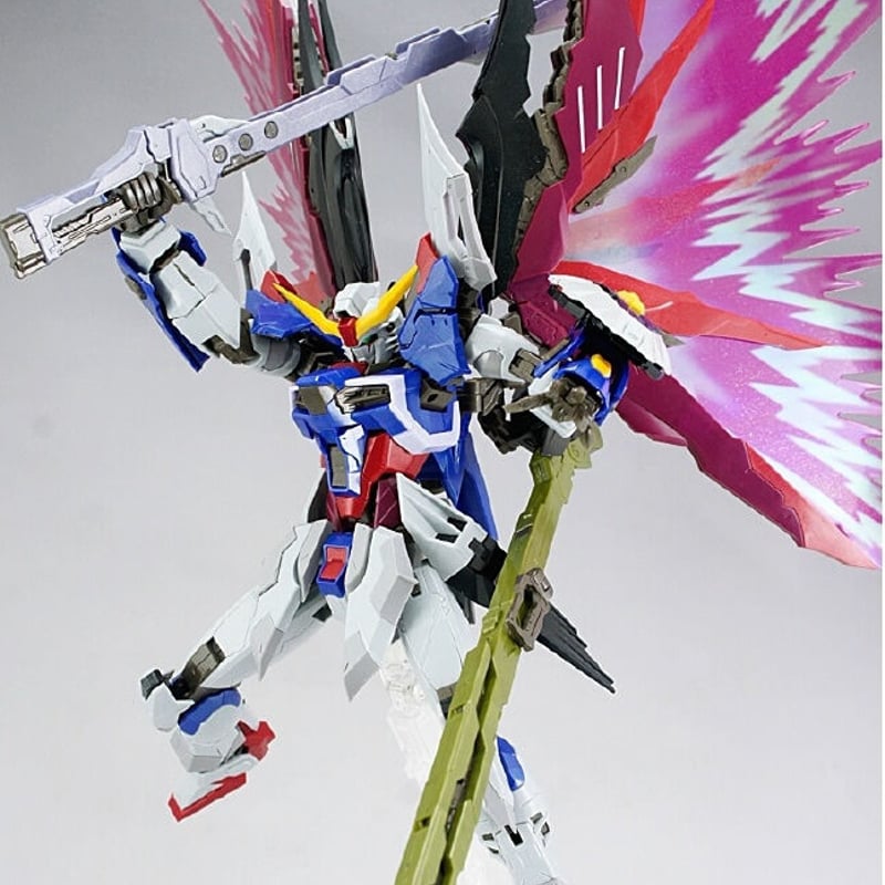 レア！廃盤 ガンダムSEED DESTINY DORAGON MOMOCO MG 1/100