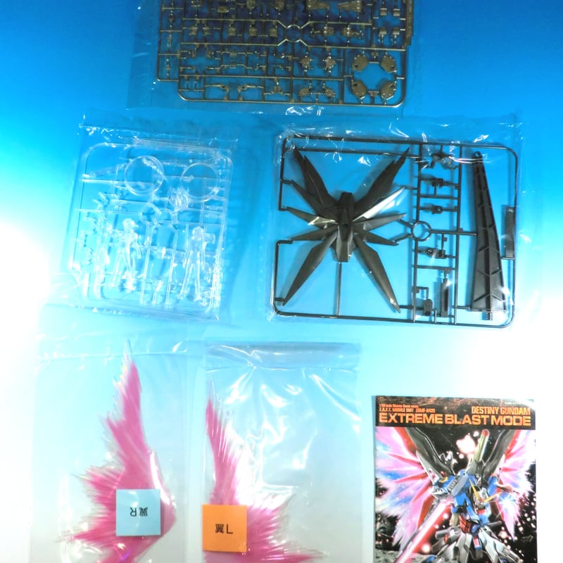 ガンダムSEED DESTINY BANDAI MG 1/100 デスティニーガンダムエクスト