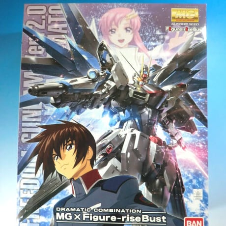 ガンダムSEED BANDAI ドラマティックコンビネーション MG 1/100 フリーダムガンダム Ver.2.0 ＋ キラ・ヤマト G28