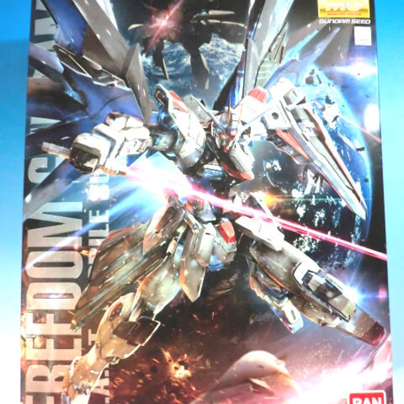 ガンダムSEED BANDAI MG 1/100 フリーダムガンダム Ver.2.0 G28
