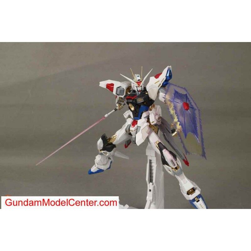 ガンダムSEED DESTINY カスタムデザインガンプラ MG 1/100 ストライク