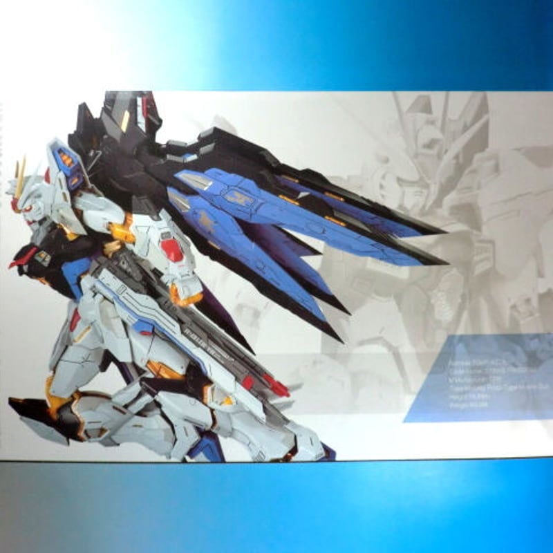 ガンダムSEED DESTINY カスタムデザインガンプラ MG 1/100 ストライク