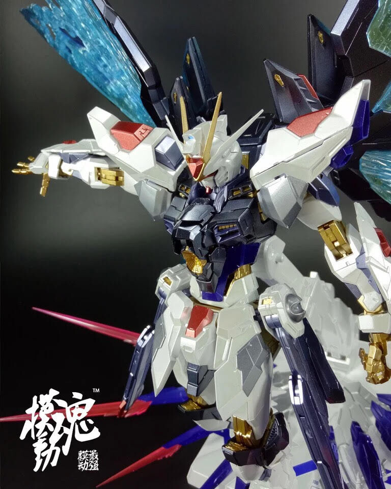 激レア！廃盤 ガンダムSEED DESTINY カスタムデザインガンプラ MG 1