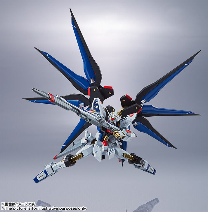 ガンダムSEED DESTINY 魂ネイション METAL ROBOT魂 ＜SIDE MS＞