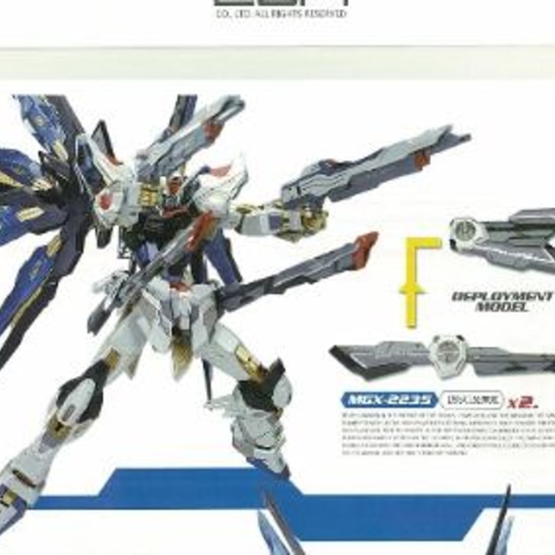 ガンダムSEED DESTIN ハイディティール限定品！カスタムデザイン