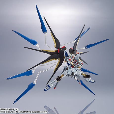 ガンダムSEED DESTINY 魂ネイション METAL ROBOT魂 ＜SIDE MS＞ ストライクフリーダムガンダム G31