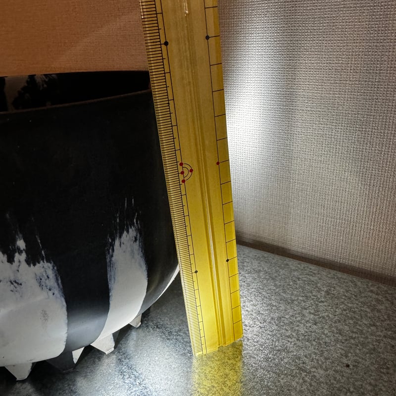 TITANOTY BLACK 牛乳植物 TITANOTY BLACK 牛乳植物 TITANOTY BLACK 牛乳植物