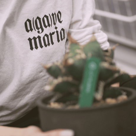 a(ga)ve maria L/S T- shirt