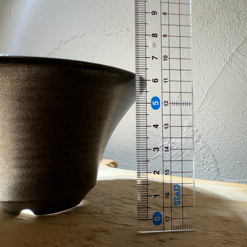 加藤浩司作 信楽焼 植木鉢4 | LIT PLANTS l リットプランツ