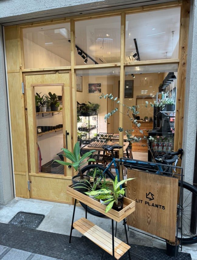 LIT PLANTS l リットプランツ LIT PLANTS l リットプランツ
