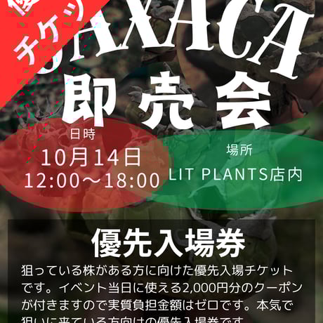 LIT PLANTS l リットプランツ LIT PLANTS l リットプランツ