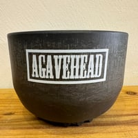 WAN 13 BLACK「AGAVE HEAD」牛乳植物鉢