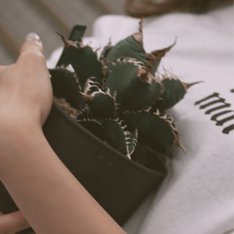 a(ga)ve maria L/S T- shirt