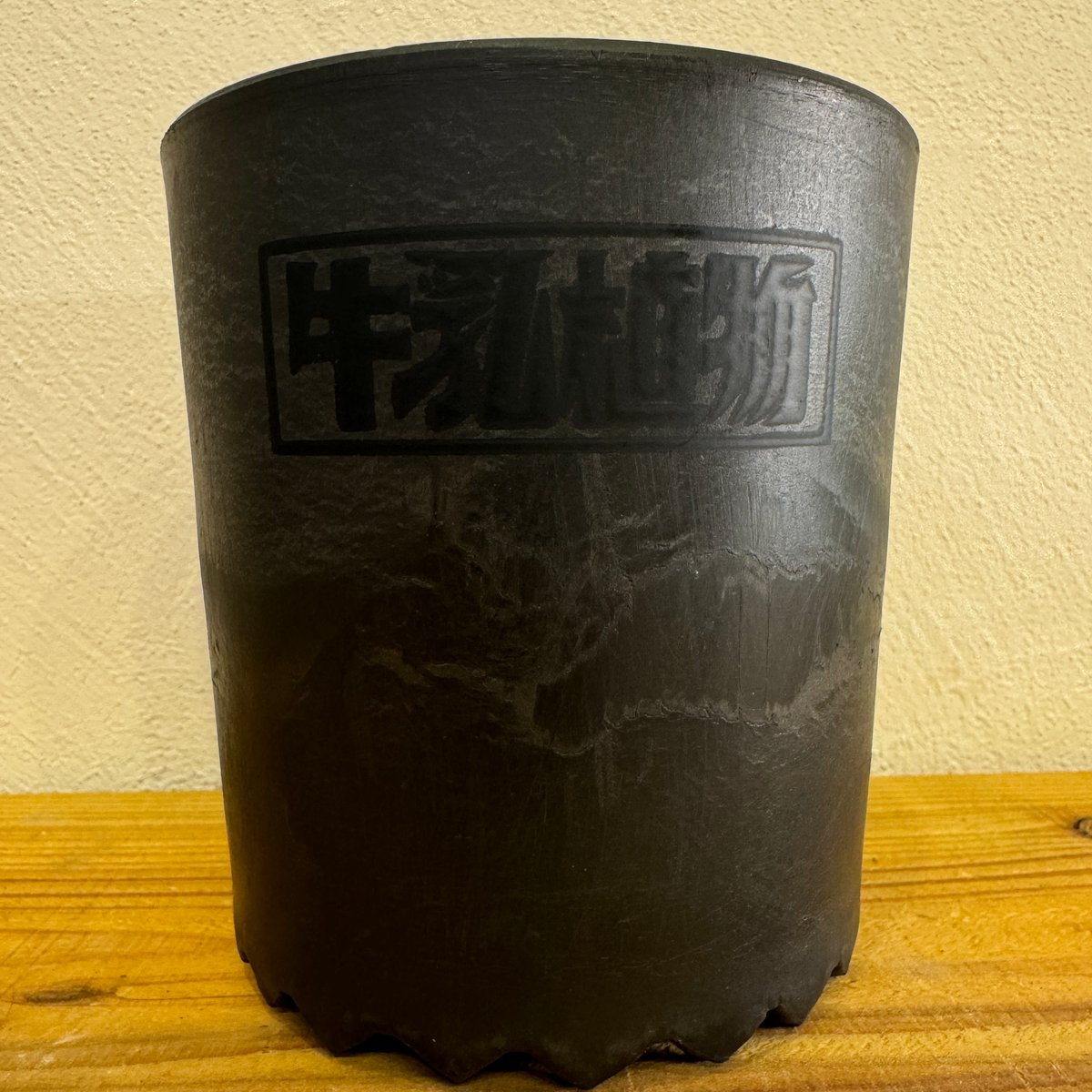 CUP 10 BLACK with BLACK logo 牛乳植物鉢 | LIT PLANTS
