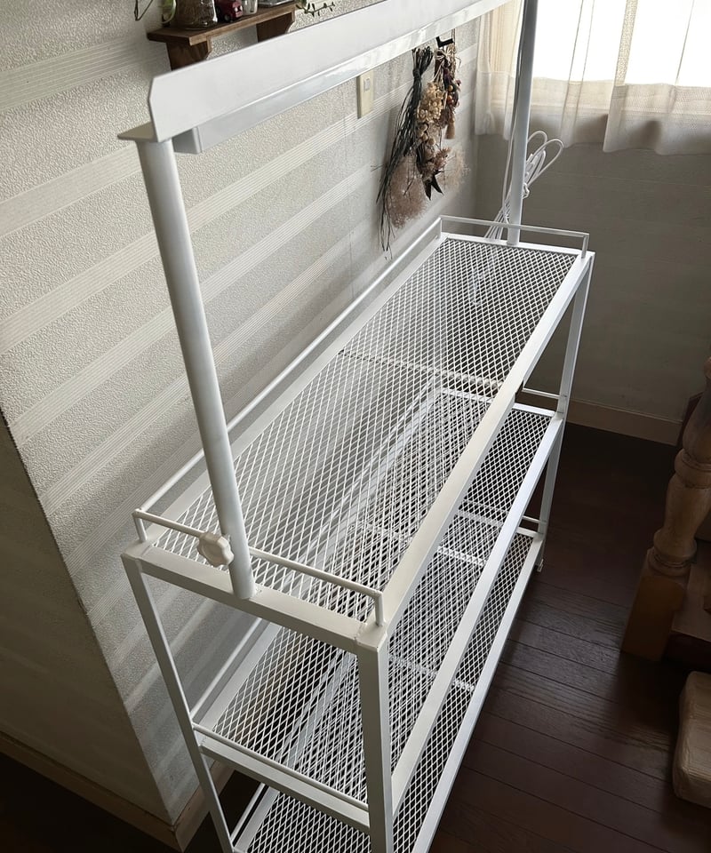 ☆送料込み☆アイアン植物棚ホワイト　即購入OK ライトレール付　アガベ　塊根 送料込み アイアンシェルフ即購入OK ライトレール付 植物棚