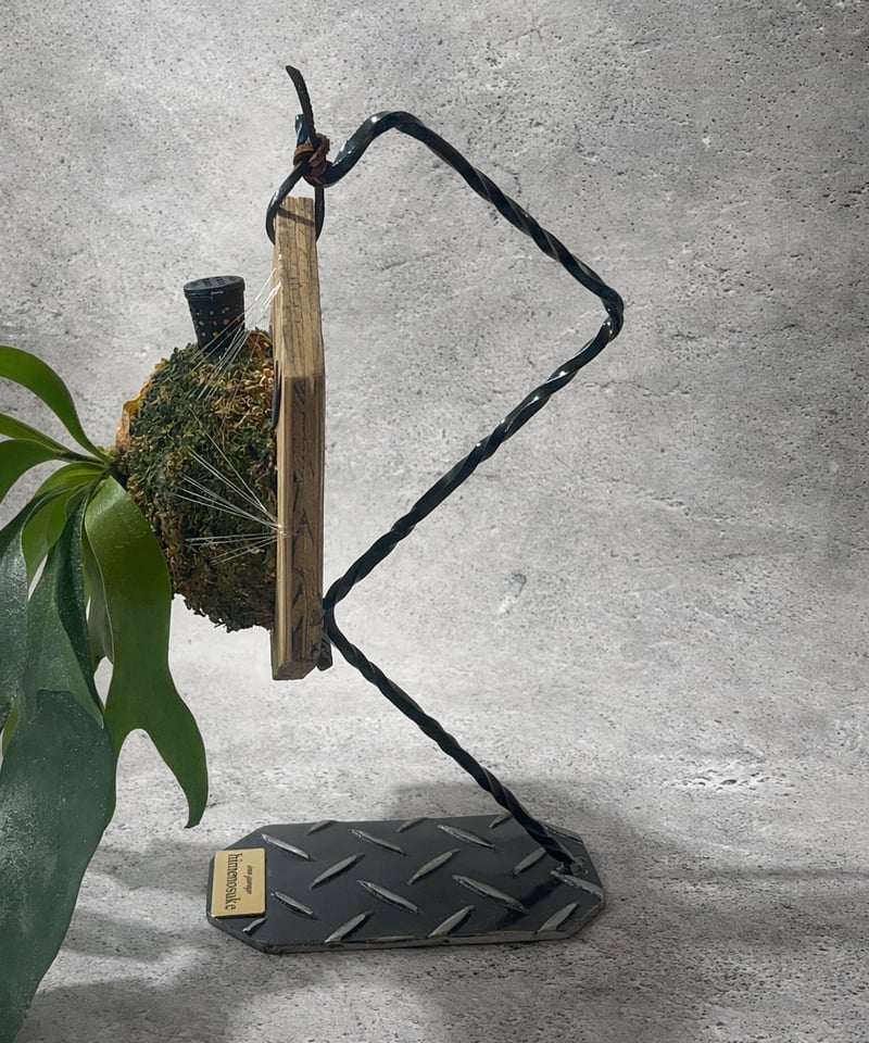た*ま様 ビカクシダスタンド 5つ まとめ売り ビカクスタンド – PLANT CLUB