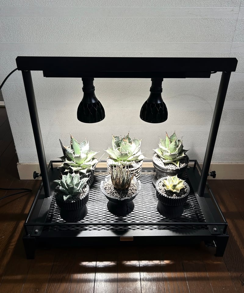 PS-14 植物棚ミニ スターターセット | アイアンガレージhimenosuke