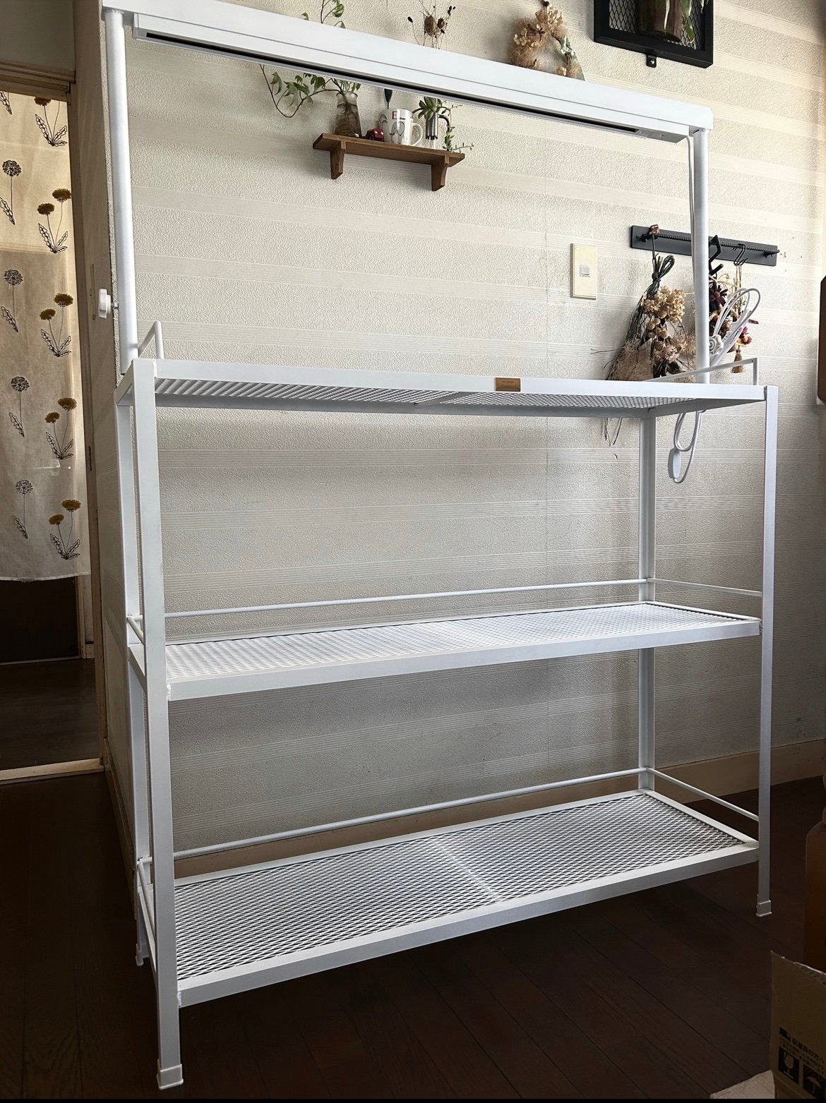 ☆送料込み☆アイアン植物棚ホワイト　即購入OK ライトレール付　アガベ　塊根 送料込み アイアンシェルフ即購入OK ライトレール付 植物棚