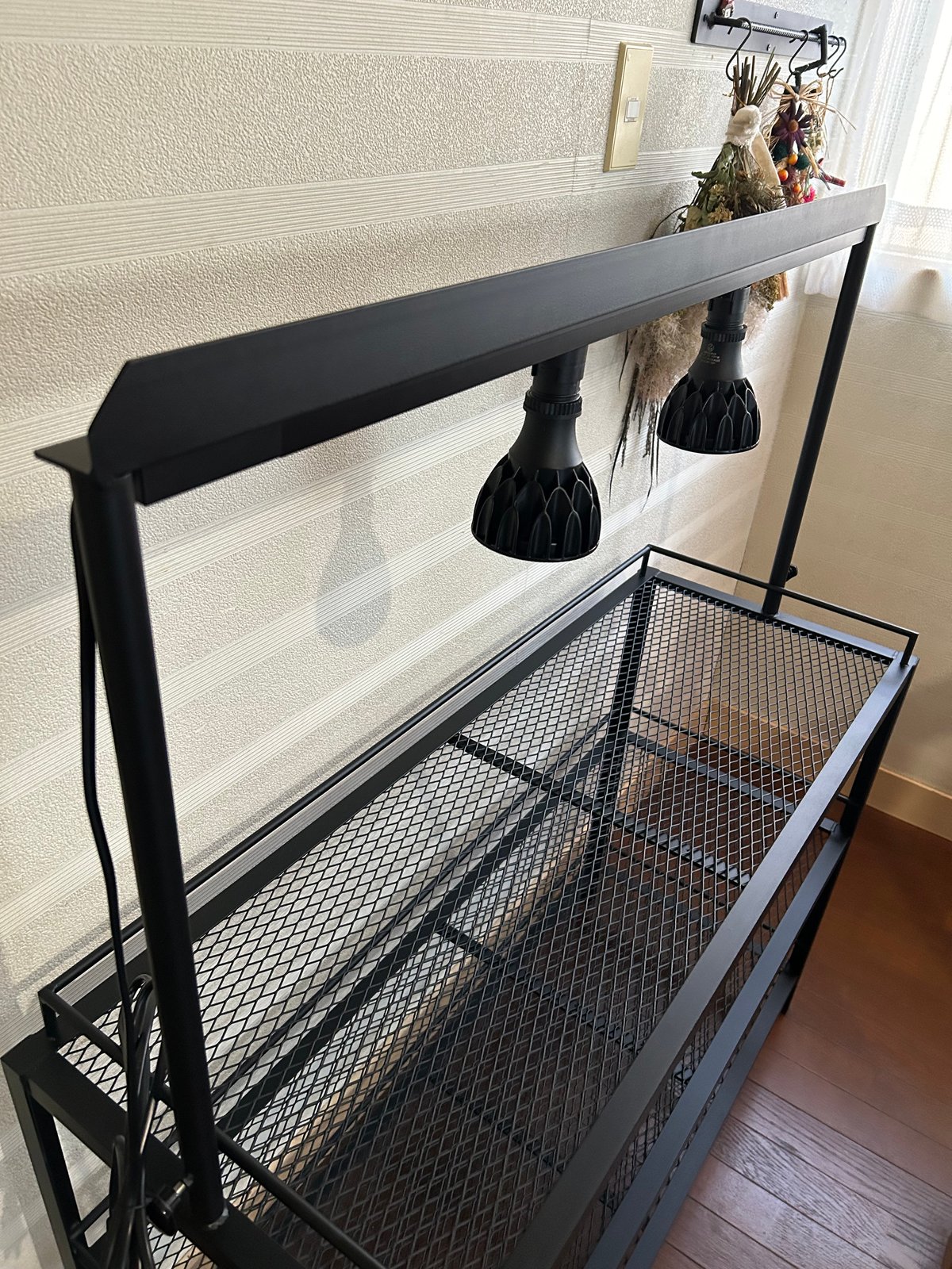 ニャオン様 植物棚オーダーページ ニャオン様 植物棚オーダーページ ニャオン様 植物棚オーダー