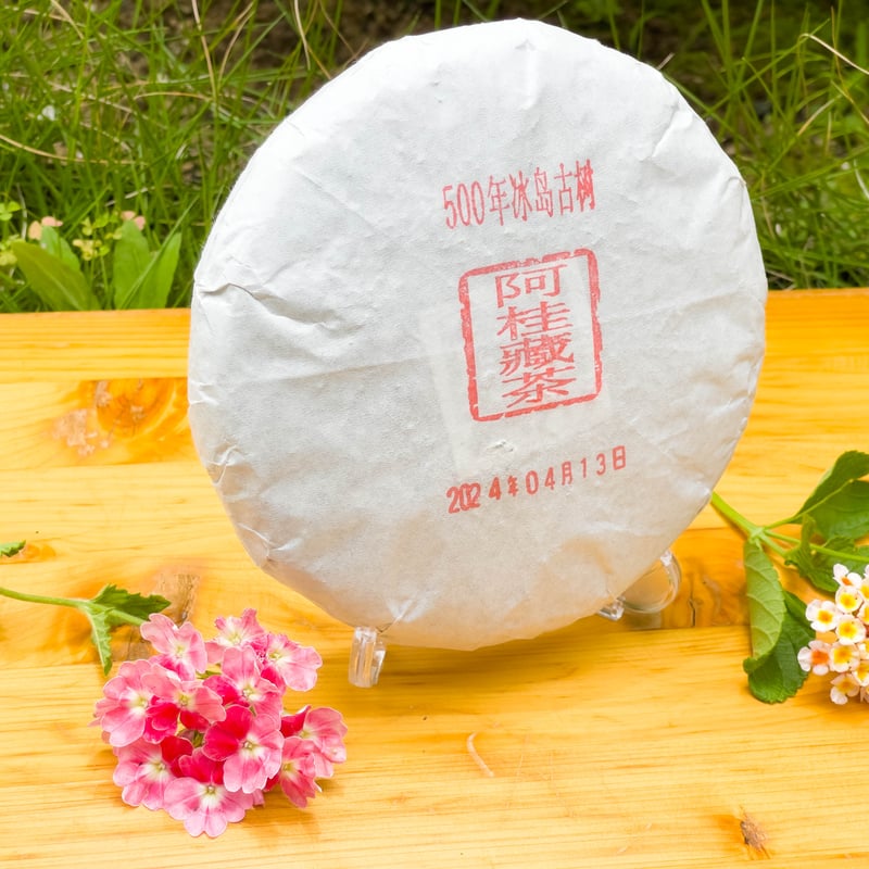 2024年冰島プーアル生茶（冰島500年古樹茶：阿桂蔵茶