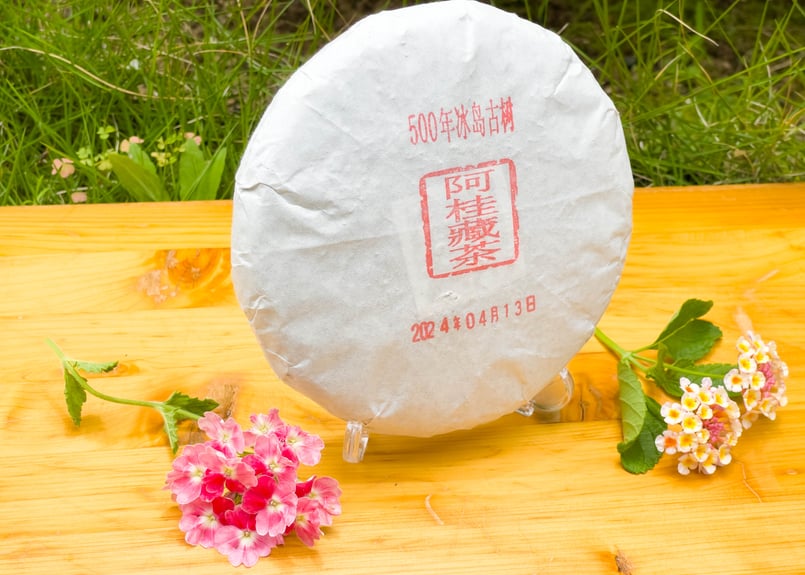 2024年冰島プーアル生茶（冰島500年古樹茶：阿桂蔵茶） | プーアル茶