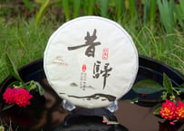 2019年_昔帰単株プーアル生茶：樹齢400年