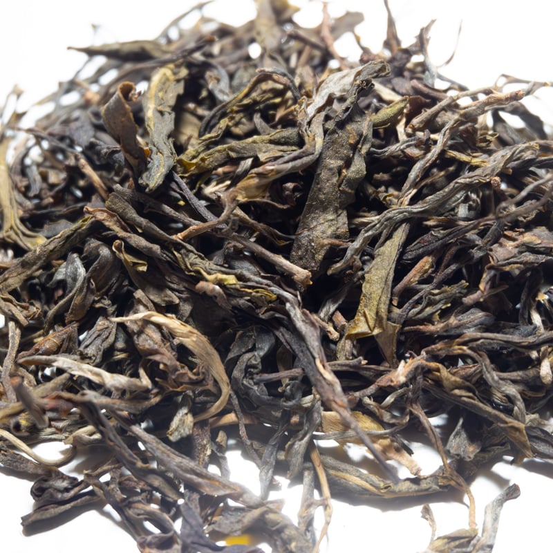 2024年_曼松王子山生茶 | プーアル茶専門店Ancient Tea