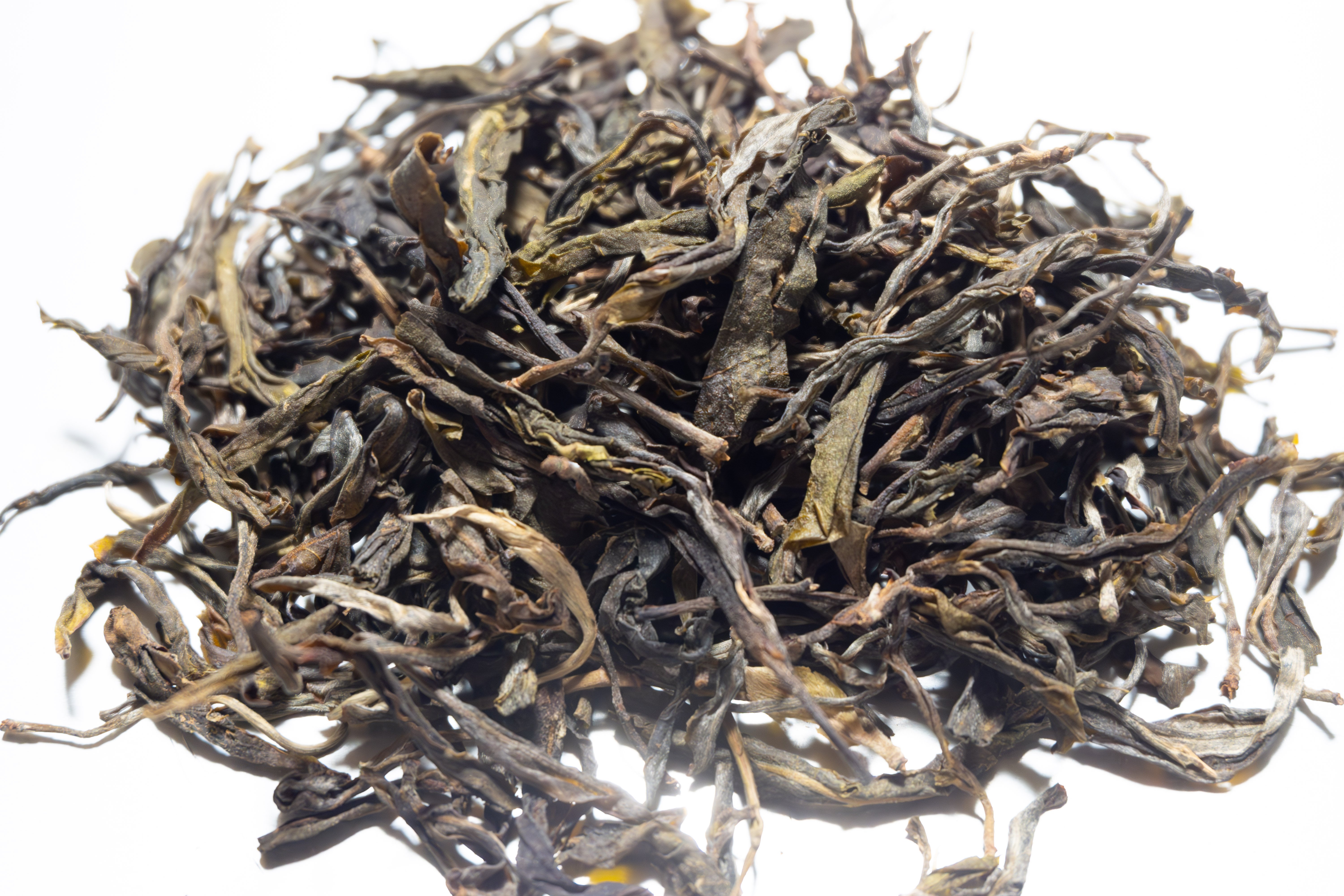 2024年_曼松王子山生茶 | プーアル茶専門店AncientTea