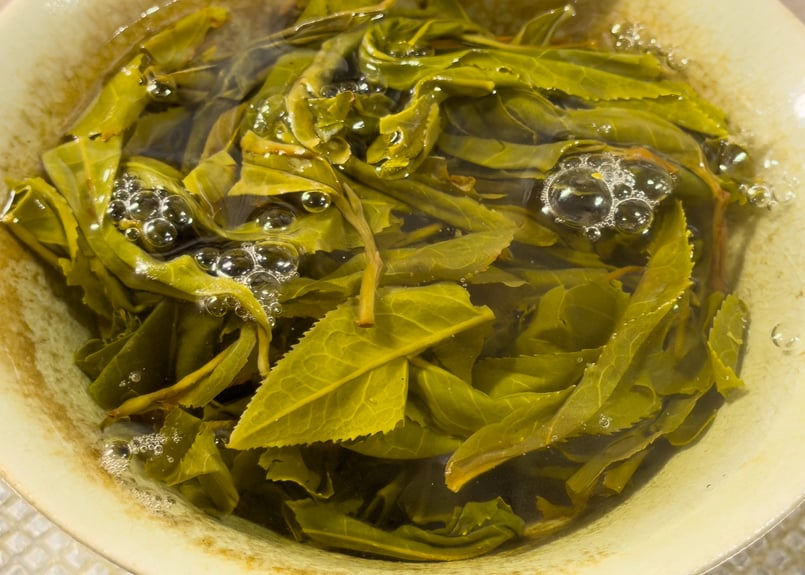 2026年冰島プーアル生茶（冰島500年古樹茶：阿桂蔵茶） | プーアル茶