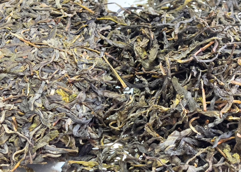 2024年冰島プーアル生茶（冰島500年古樹茶：阿桂蔵茶） | プーアル茶