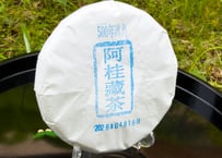 2026年冰島プーアル生茶（冰島500年古樹茶：阿桂蔵茶）