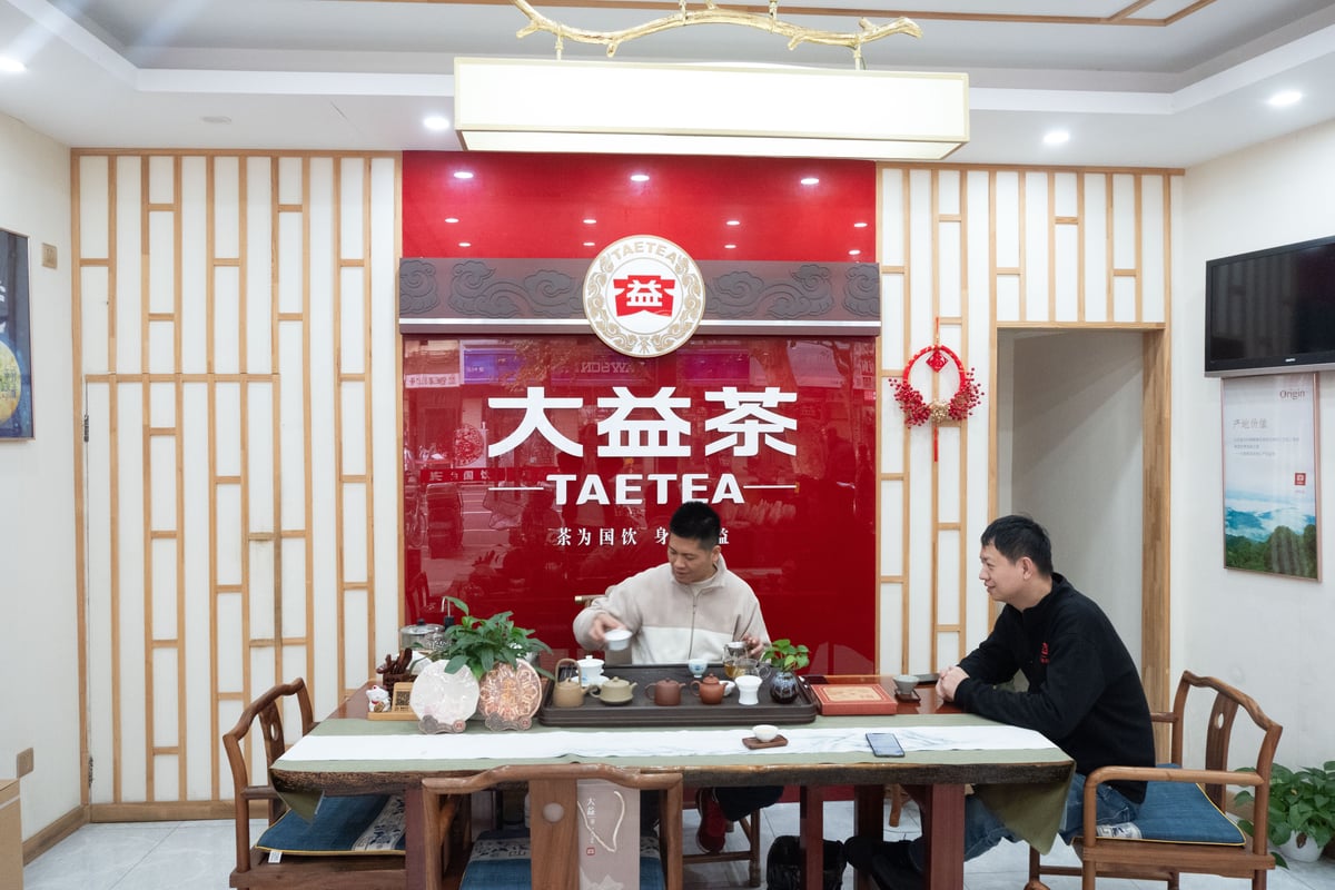 2024年_7542大益茶（357g餅） | プーアル茶専門店Ancient Tea