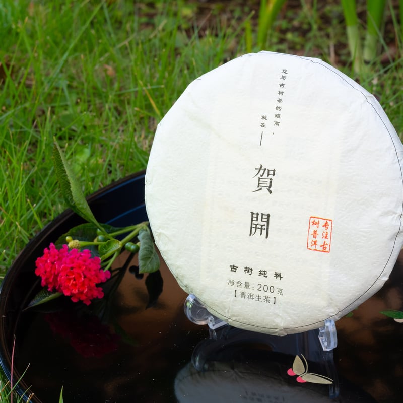 滇聘号勐海産のプーアル熟茶金芽古树茶柑 滇聘号勐海産のプーアル熟茶金芽古树茶柑 杨