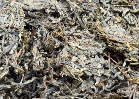 2026年冰島プーアル生茶（冰島500年古樹茶：阿桂蔵茶）