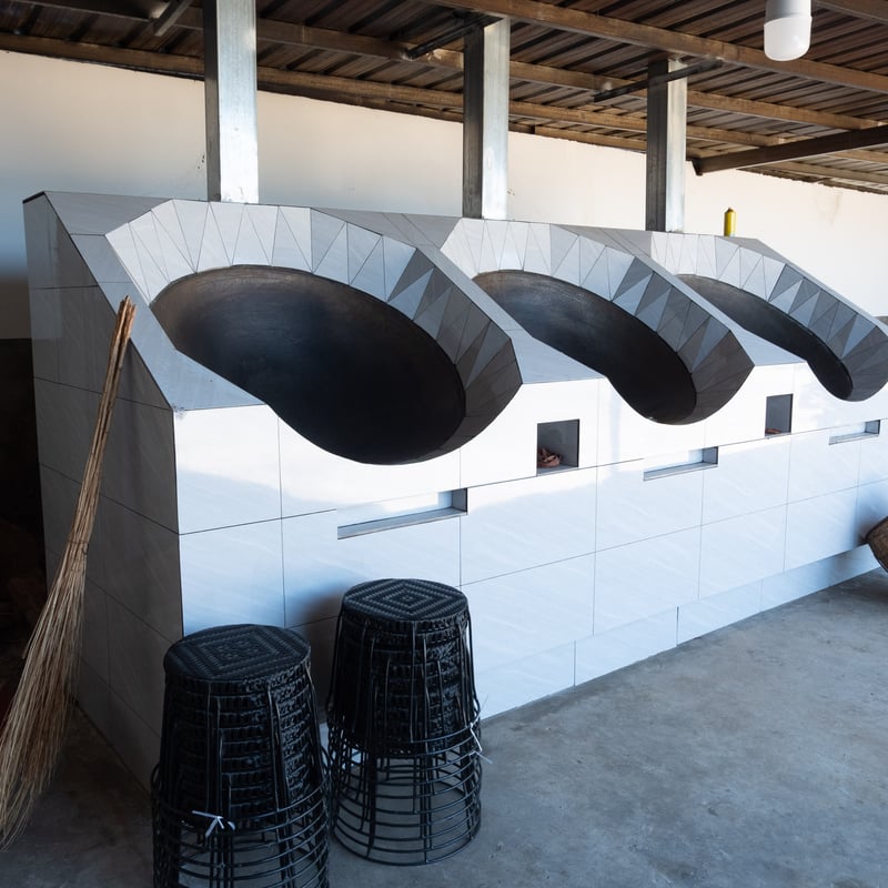 2024年_冰島老寨プーアル茶「単株茶」（樹齢700年） | Ancient Tea