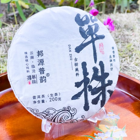 CATEGORY マニア向け | Ancient Tea CATEGORY マニア向け | Ancient Tea