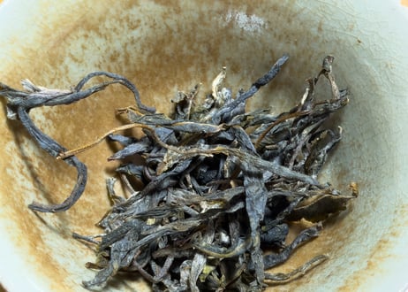 2026年冰島プーアル生茶（冰島500年古樹茶：阿桂蔵茶）