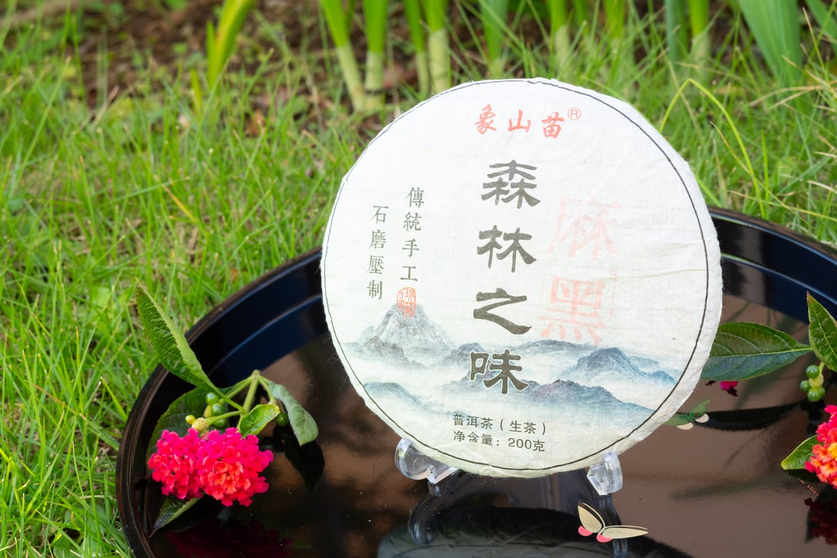 【最終値下】易武　プーアル茶　盛大茶　普洱茶 fit=scale-down,w=1200