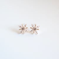 petit flower Rose silver