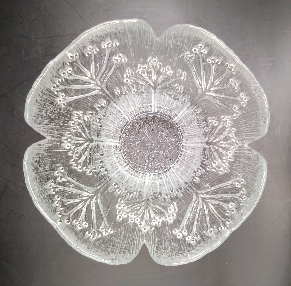 Lasisepat ラシセパット Krokus Koiranputki クロッカス コイランプ