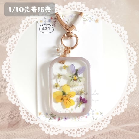 437 / sold out