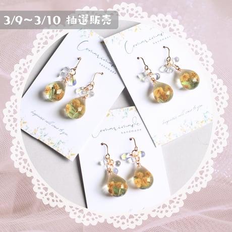 492 / sold out