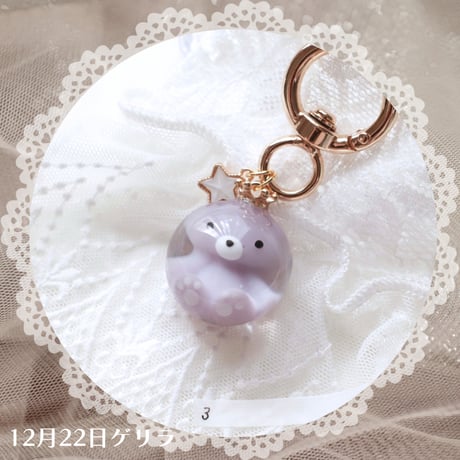 【43】sold out