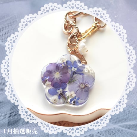 【69】sold out